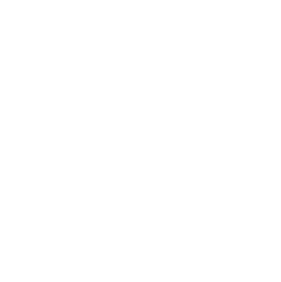 icono